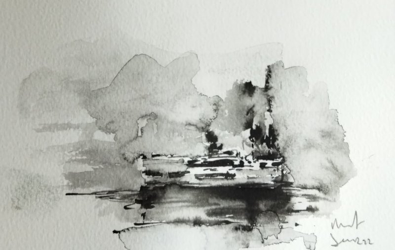  Ship and Bosphorus 009